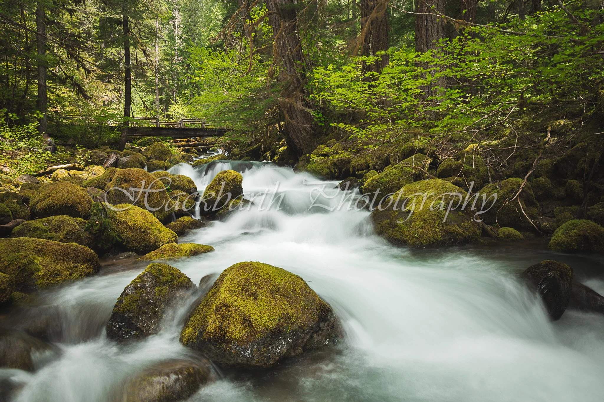 Cascading Water.jpg