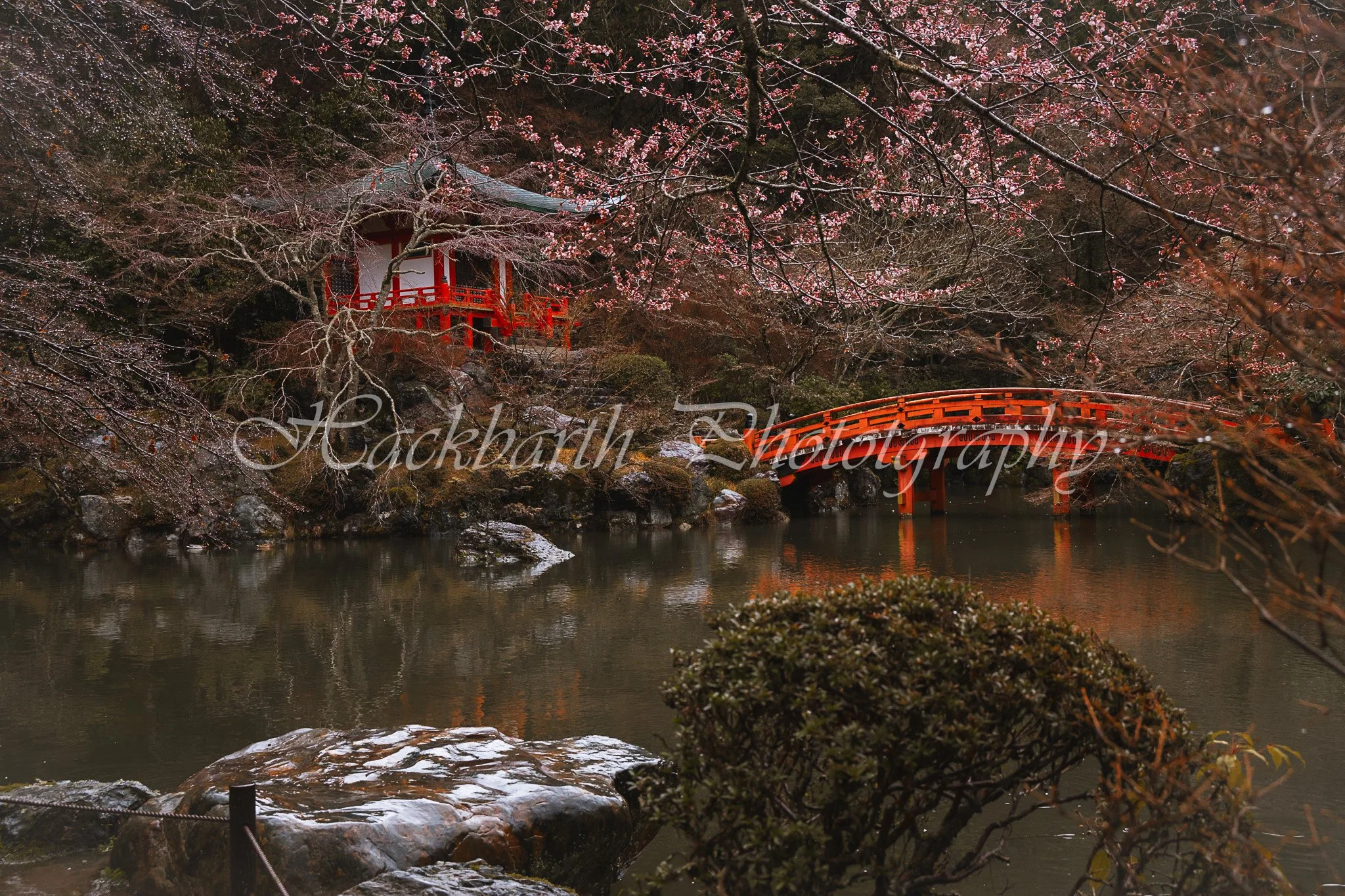Sakura Bridge.jpg