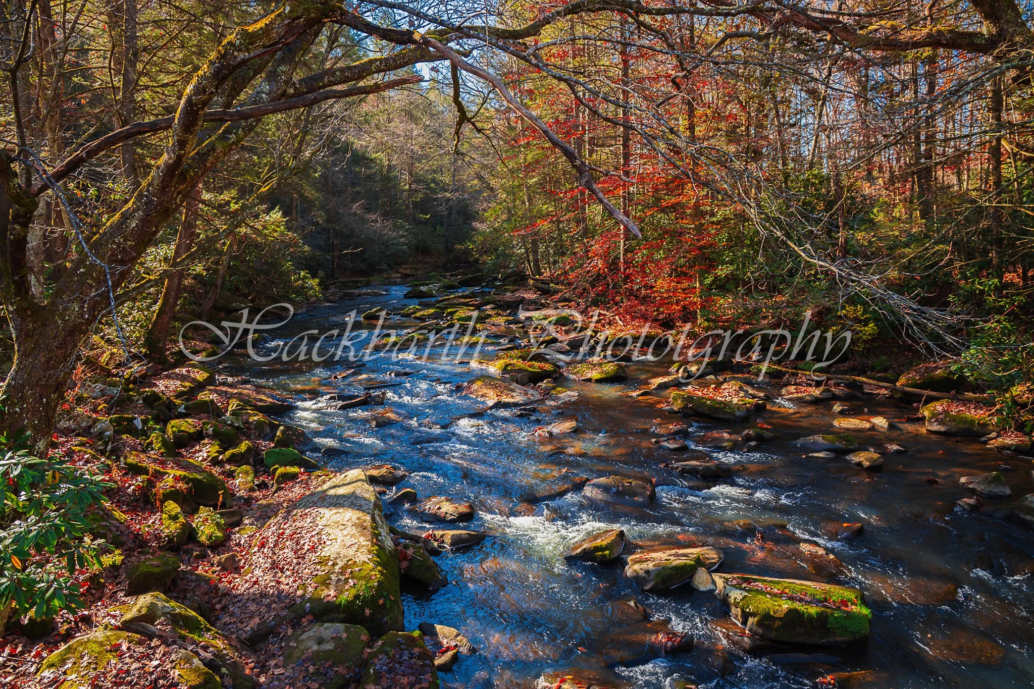 Colorful River