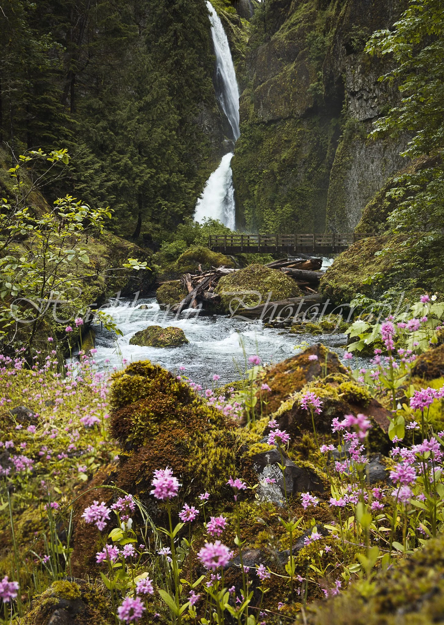 Waterfall Flowers.jpg