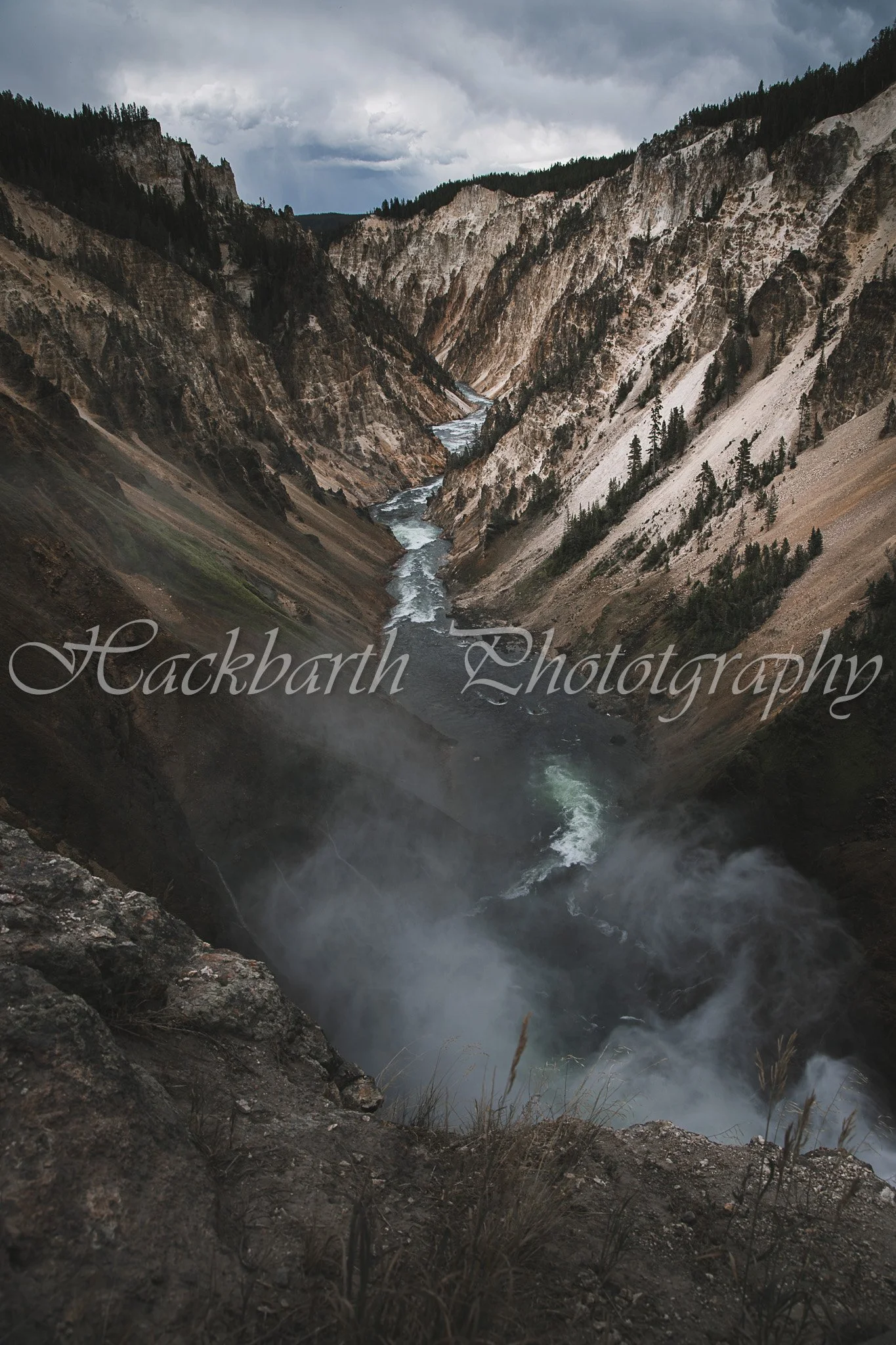 Foggy Ravine