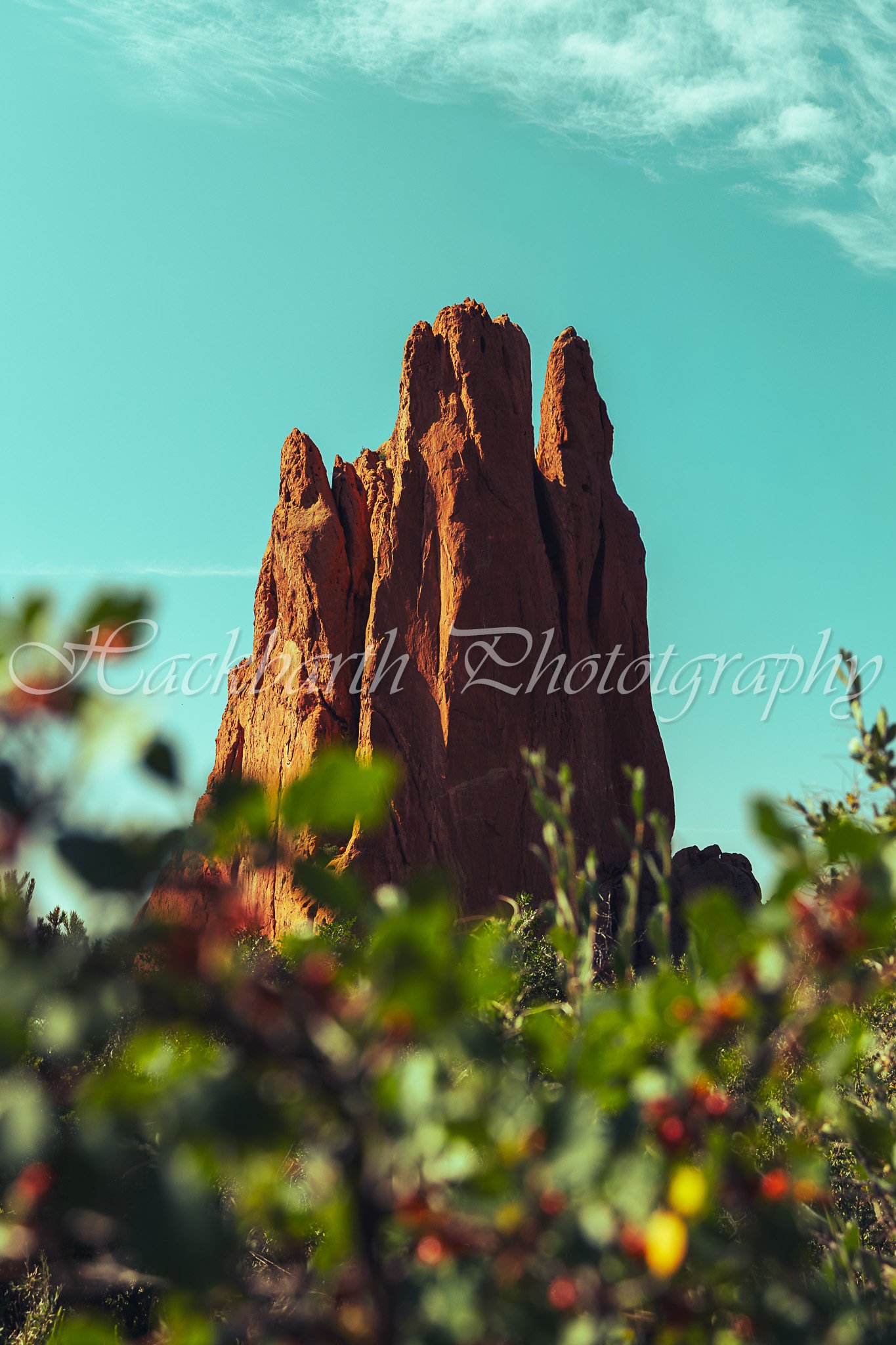 Garden of the Gods.jpg