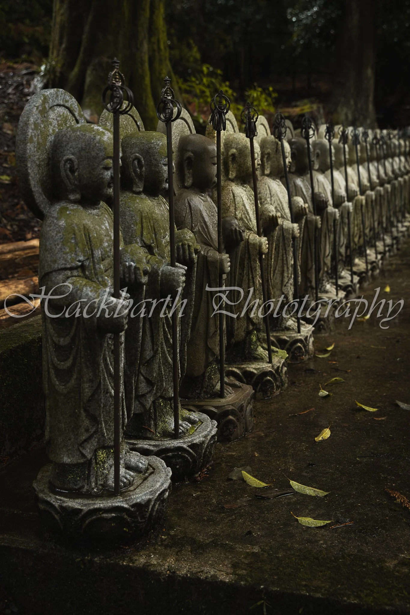 Buddha.jpg