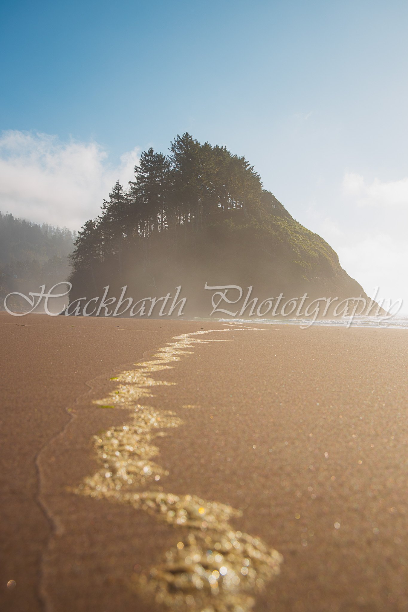 Neskowin Bluff