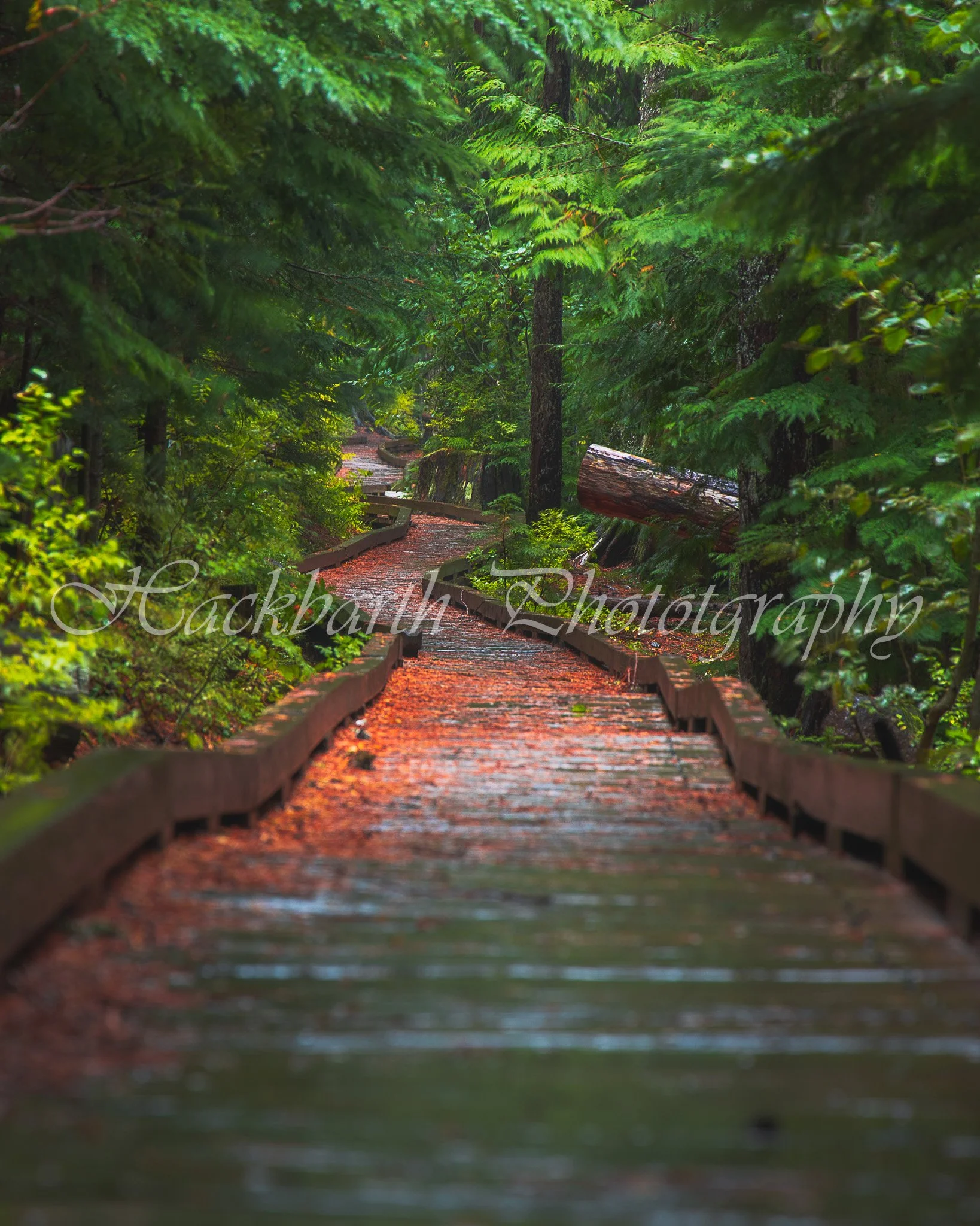 Lost Lake Trail