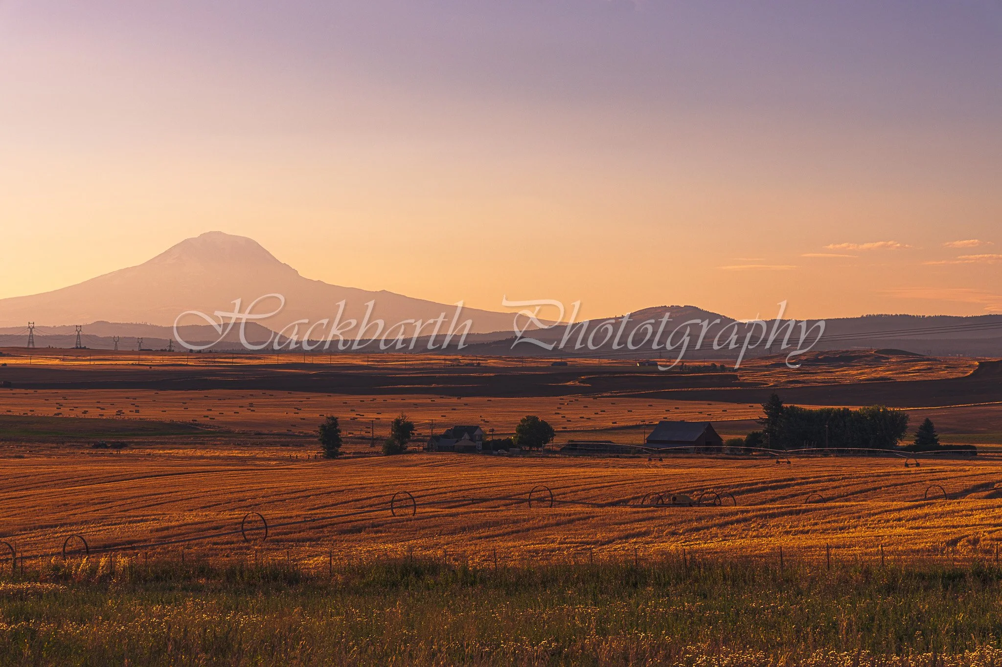 Washington Farmland
