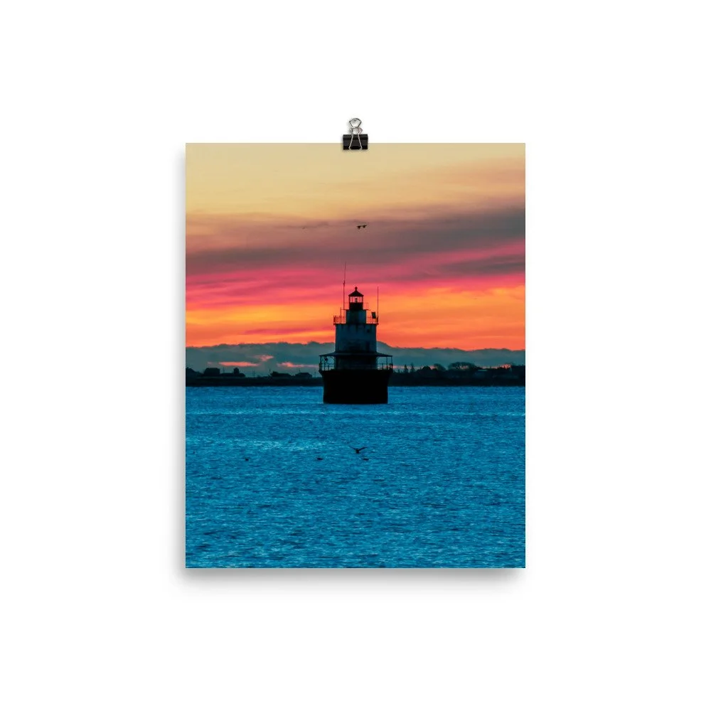 premium-luster-photo-paper-poster-(in)-8x10-transparent-61eaed168cc86.jpg