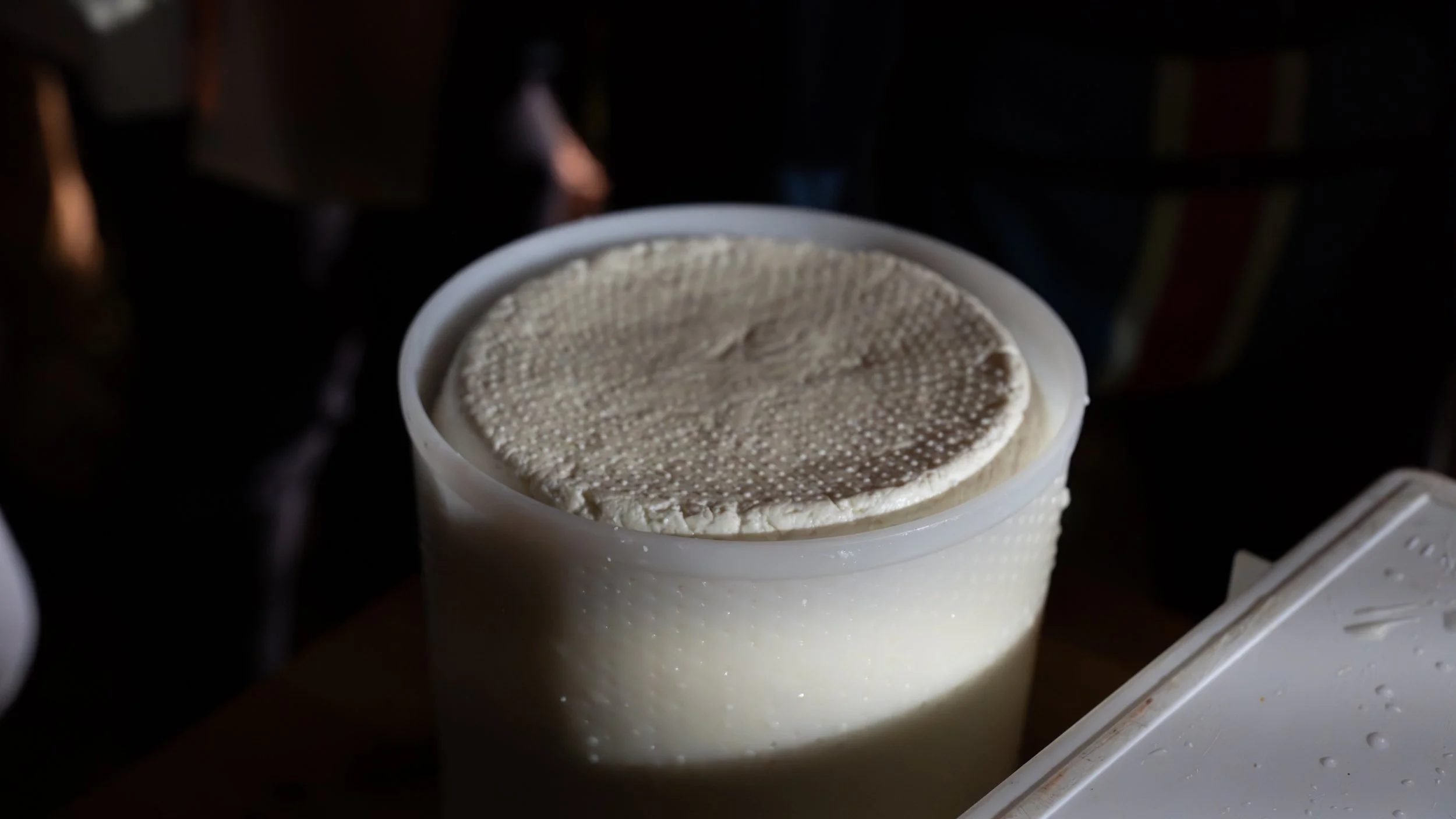 Degustazioni di Olio, Vino, Formaggio appena fatto e castagne&nbsp;