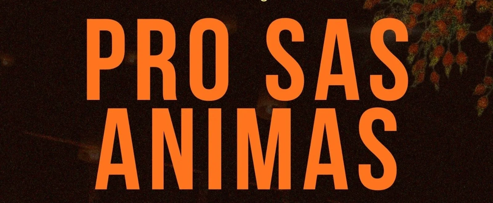 PRO SAS ANIMAS