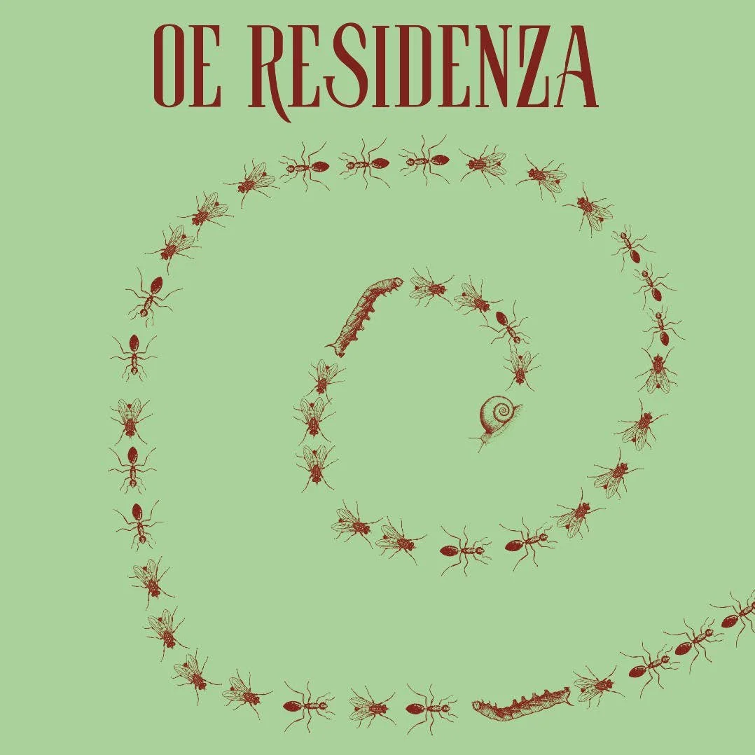OE Residenza di arte visiva (Copia)