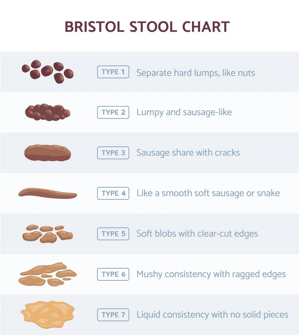The scoop on poop What's normal? — The KAN Clinic