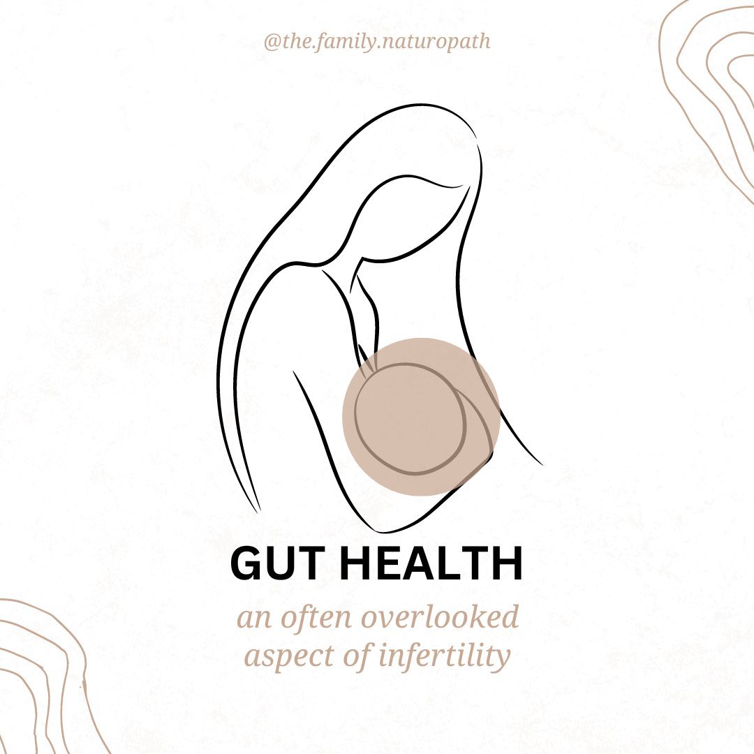 Did you know that the health of your gut microbiome can influence your ability to fall pregnant? 

For women, when there is an imbalance in your gut bacteria (dysbiosis), you have an increased risk of both gut inflammation and systemic inflammation. 