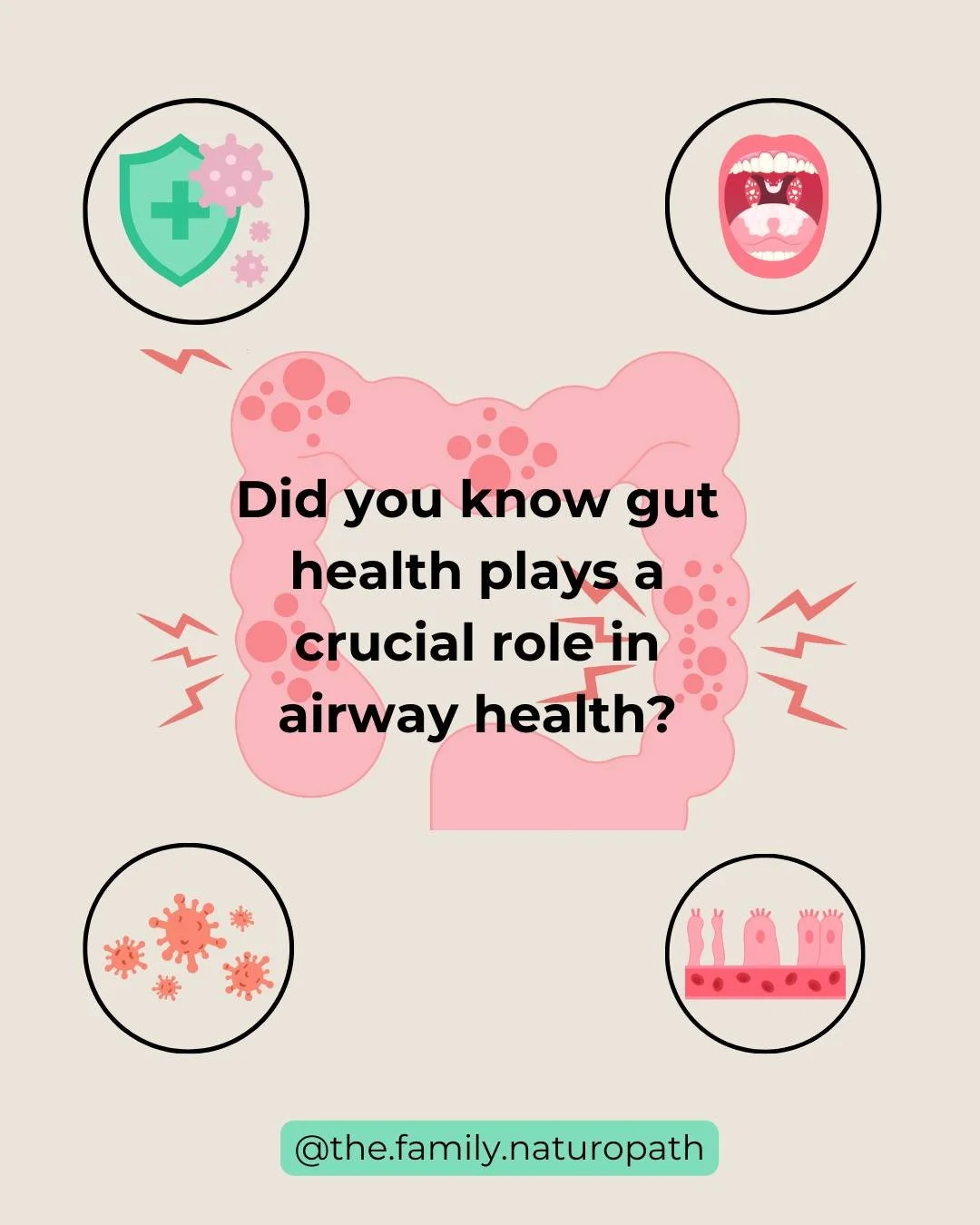 Gut health doesn&rsquo;t just affect digestion, it impacts your child&rsquo;s airway health too!

Here&rsquo;s how:

👉🏼 An imbalanced gut microbiome (gut dysbiosis) and 'leaky gut' can lead to increased food sensitivities and systemic inflammation,