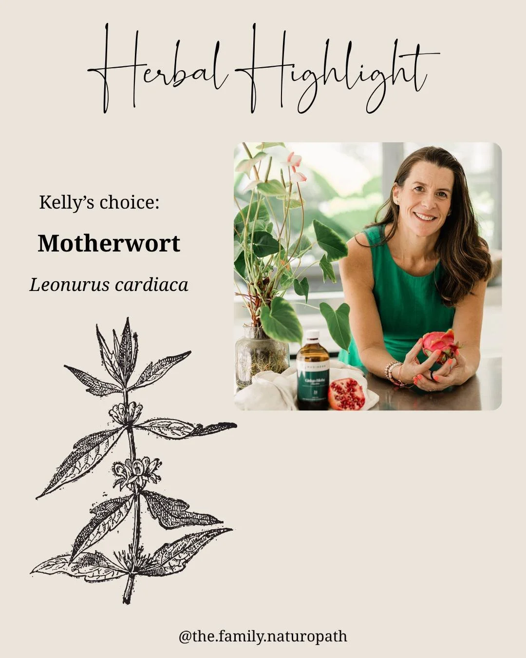 It's so hard to choose my favourite herb, but if I had to choose just one, motherwort

Motherwort (Leonurus cardiaca) &ndash; my herbal hug for mothers

 &bull; Actions: Nervine, cardiotonic, antispasmodic. It soothes anxiety, calms a racing heart, a