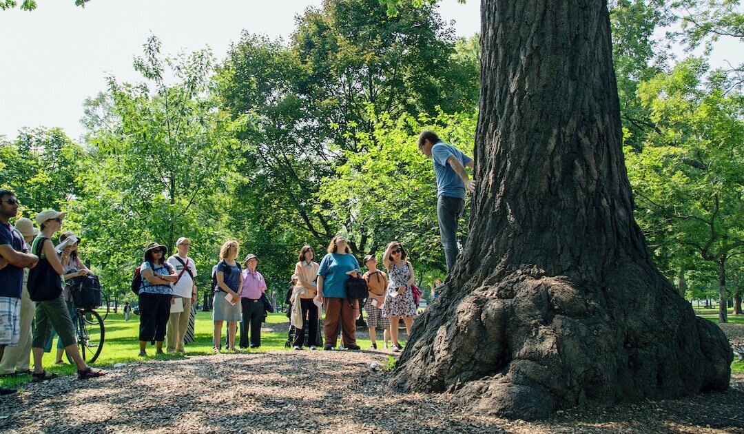 Todd telling the story of a heritage red oak in Queen's Park during a tree walk.