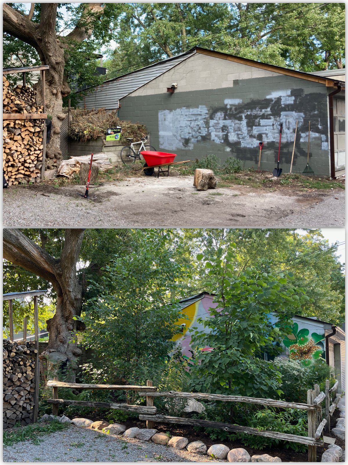 Before and after photos of a parking area converted to a native garden by City Forest.