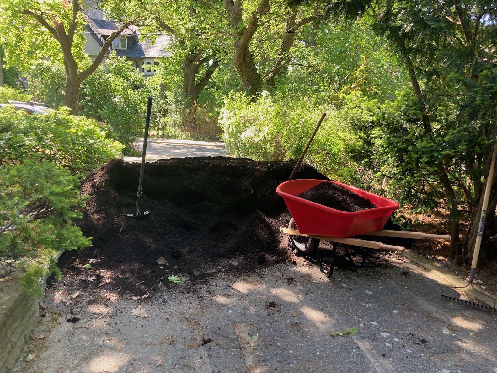 A load of fresh compost to be installed under a client's mature oak trees.