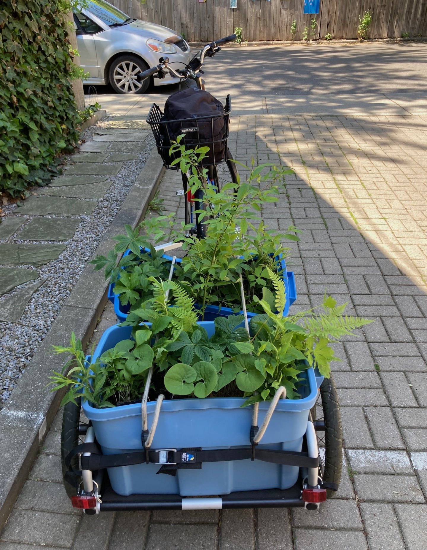 Native plants loaded up for delivery to a client's property.