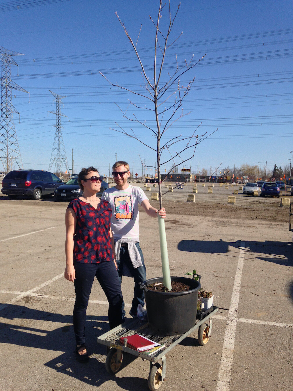 Happy clients with their new oak tree after a visit to the nursery.