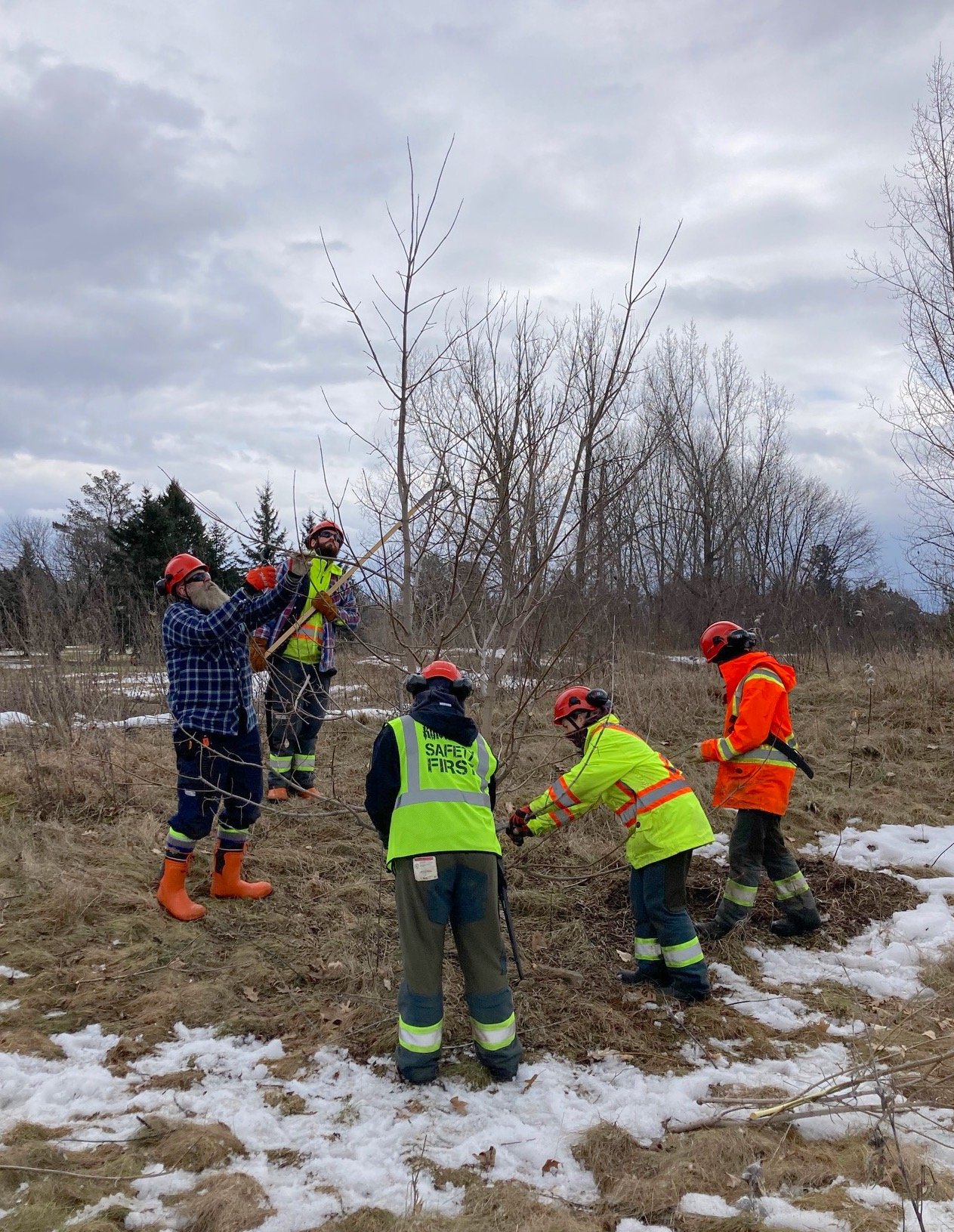 Students practicing their tree pruning skills after a lesson from Todd.