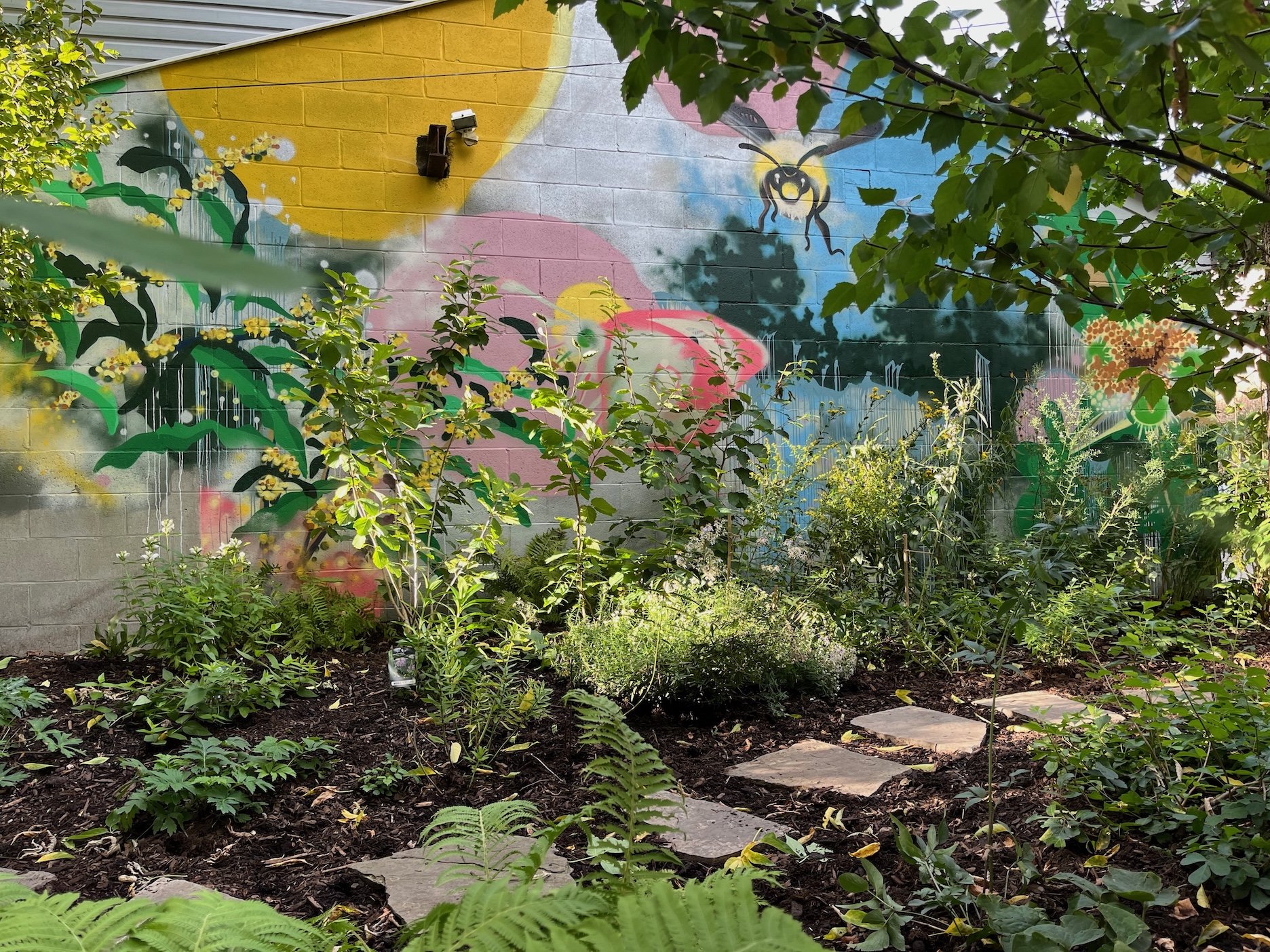 Native garden planted by City Forest.