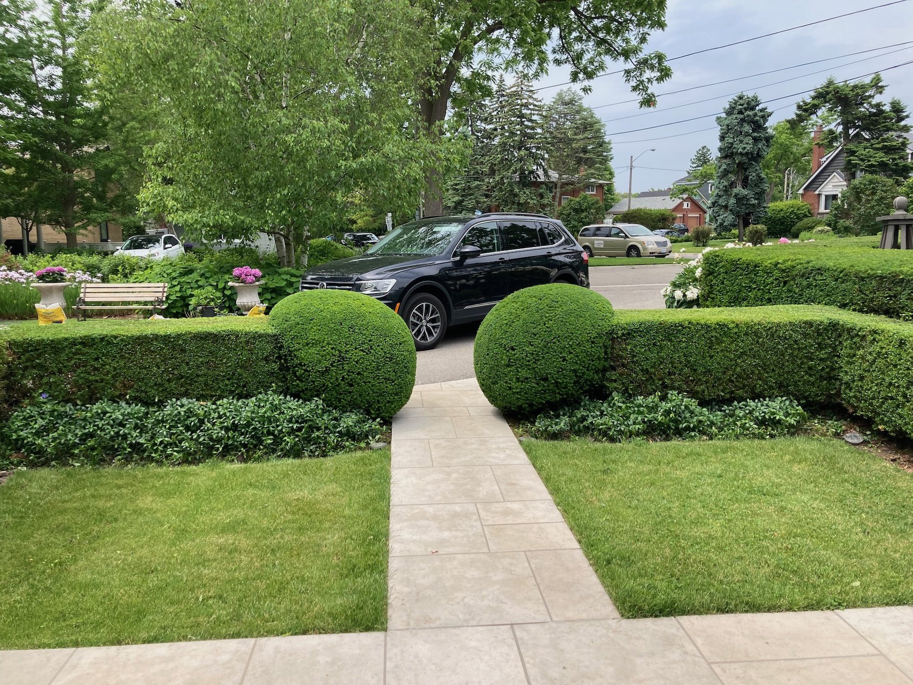 Formal hedging after being sheared by City Forest.
