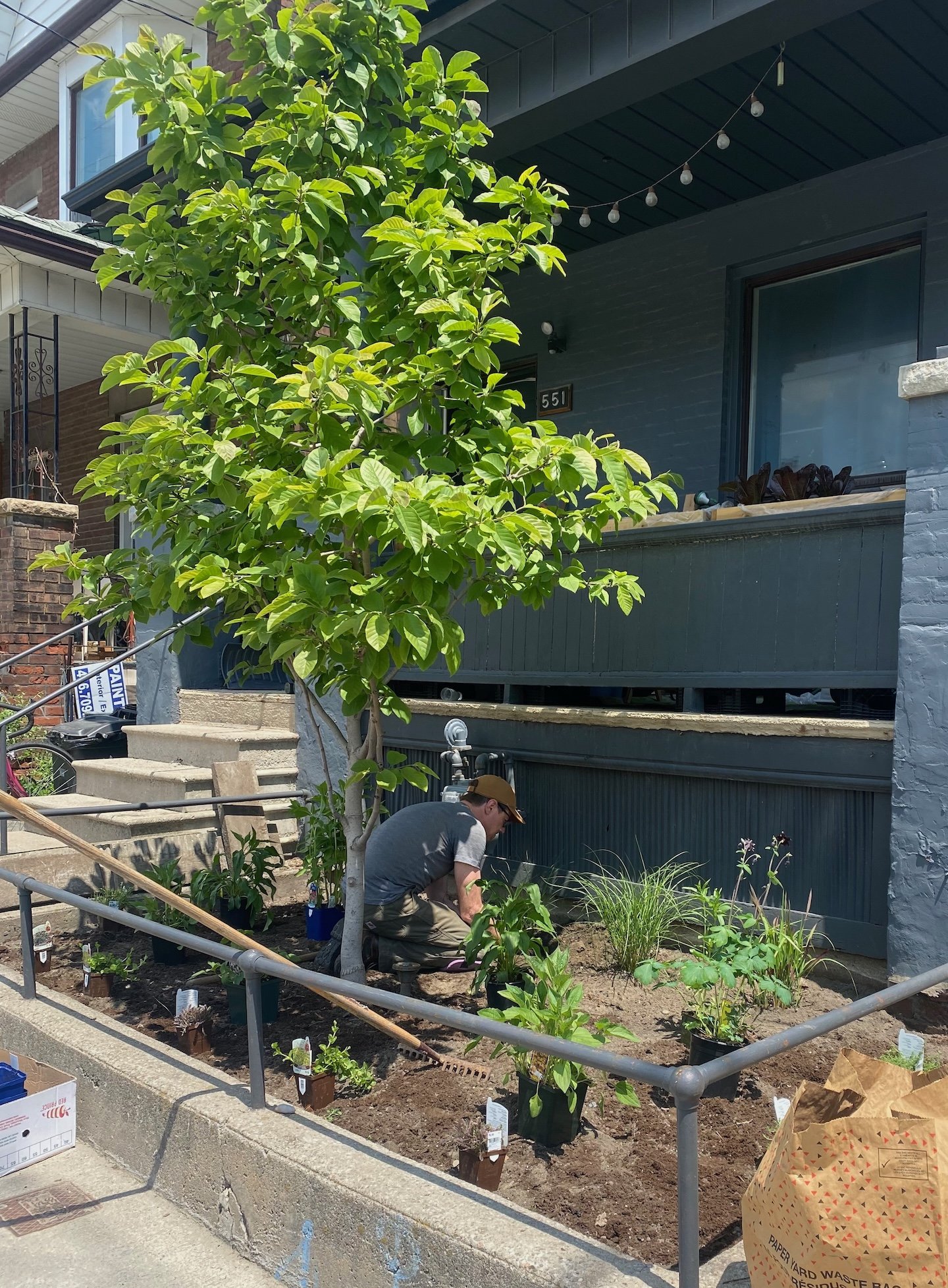 Planting a native pollinator garden for a client.