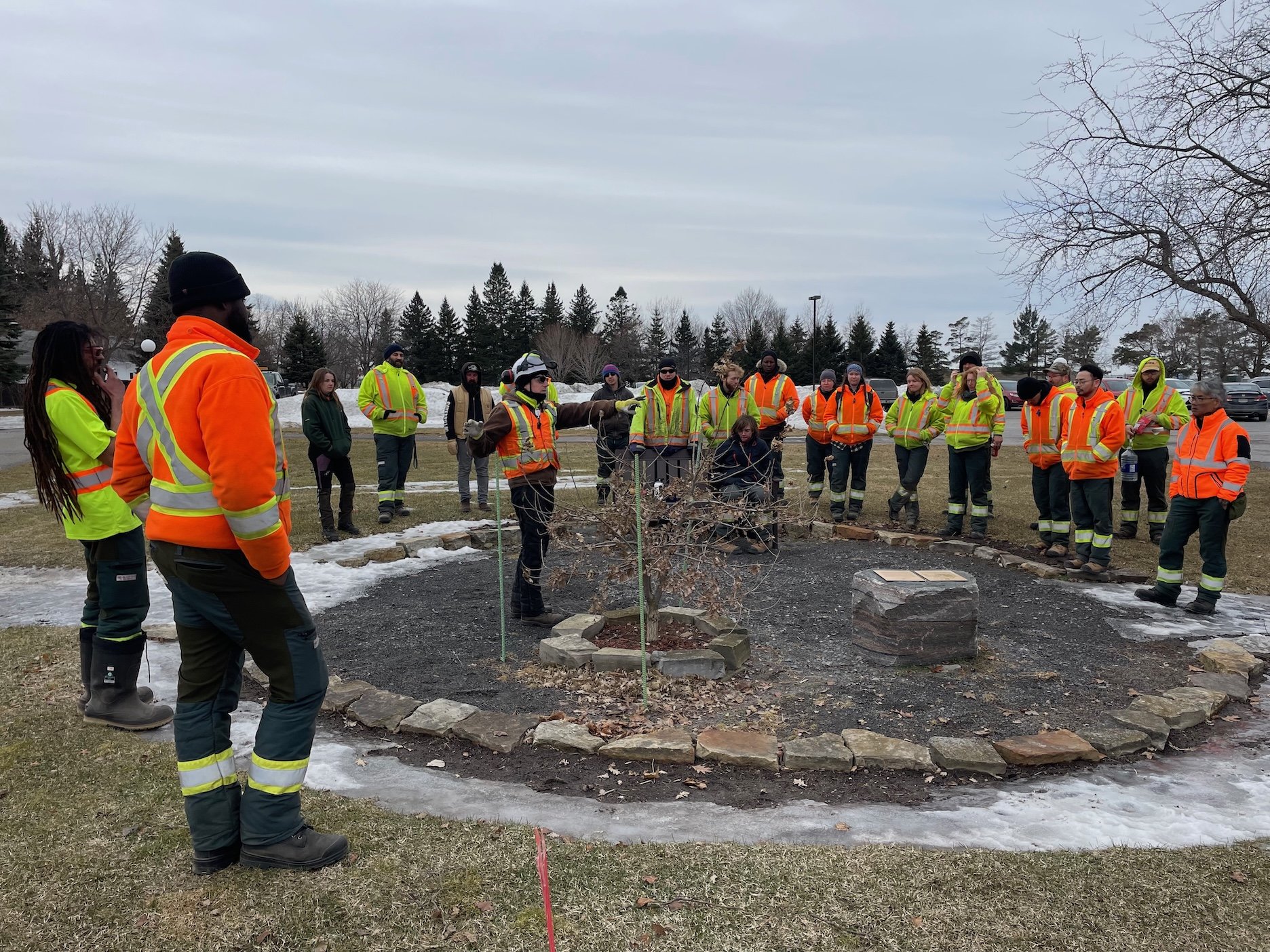 Todd teaching pruning to a class of arborist groundworker students.