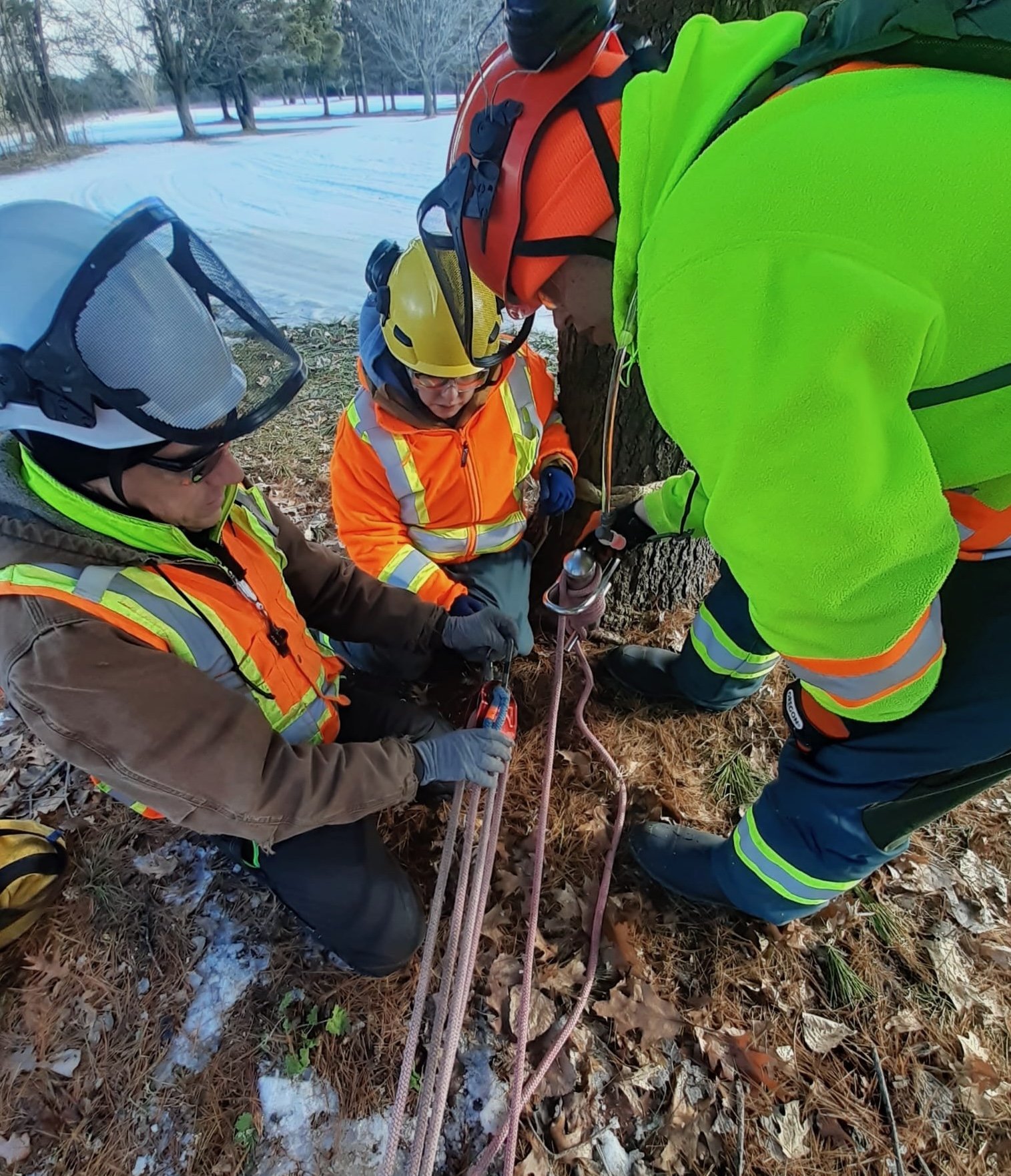 Teaching groundworker students how to set up a rigging system.
