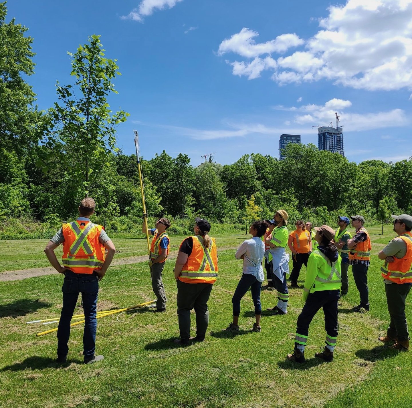 Giving a pruning lesson to a group of City of Toronto Urban Forestry employees.