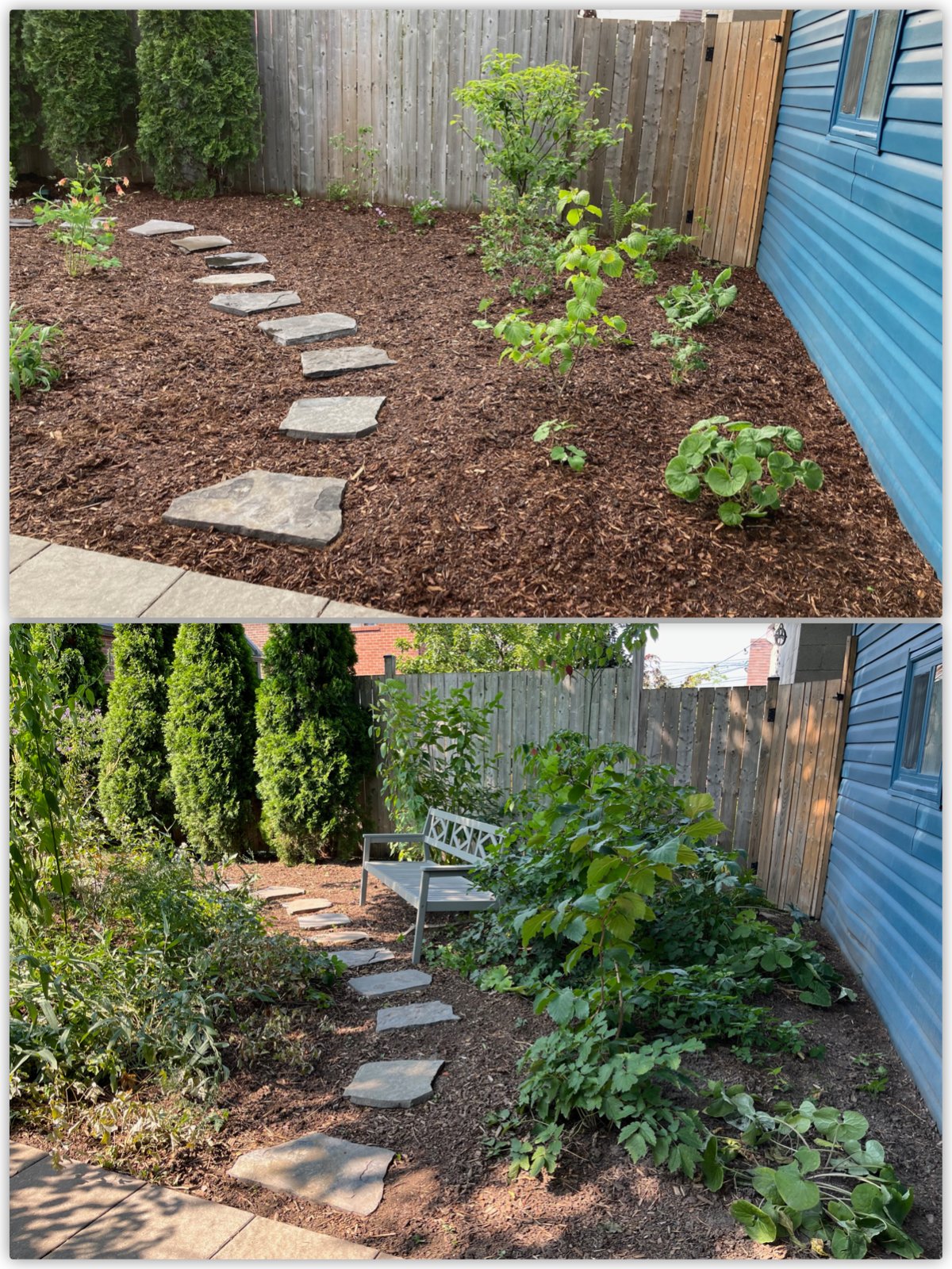 A native garden planted by City Forest photographed at installation and one year after planting.