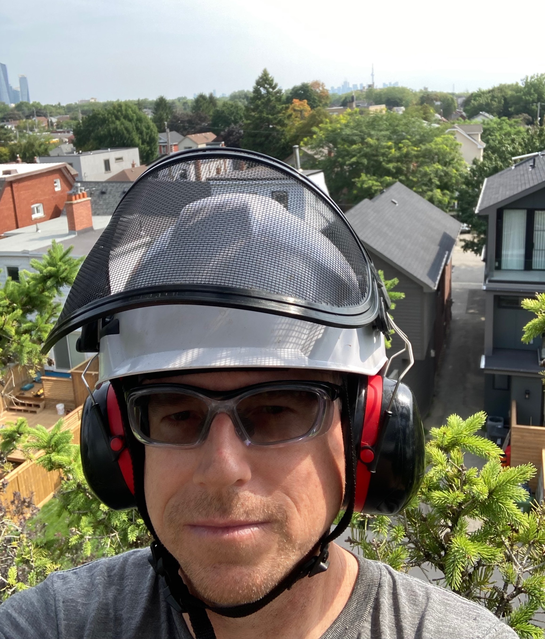 Selfie while pruning a client's white spruce with the CN Tower in the distant background.