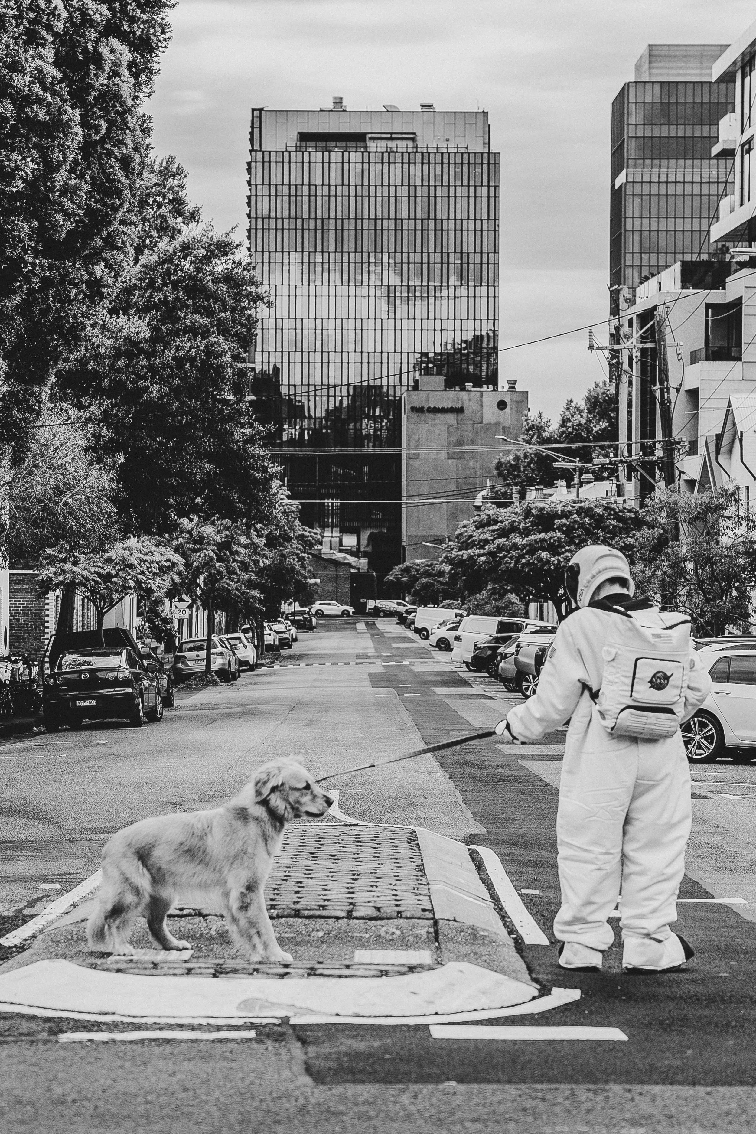 Astronauts in Collingwood ... coming soon.