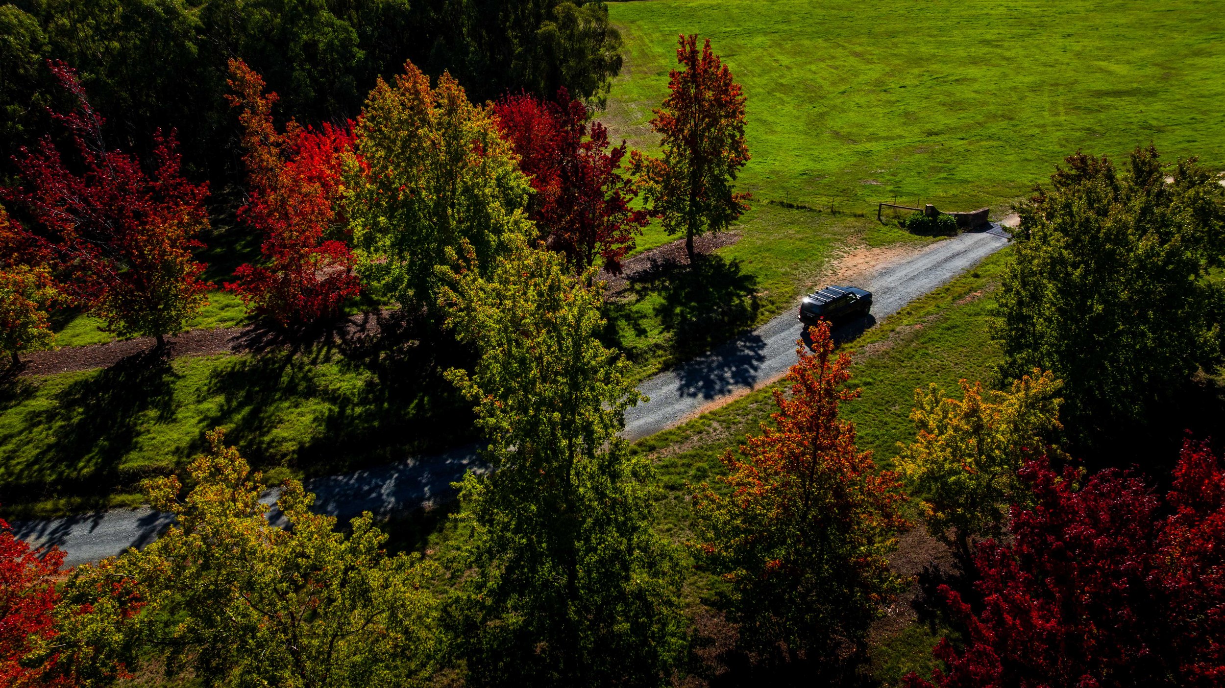 DJI_0050.jpg