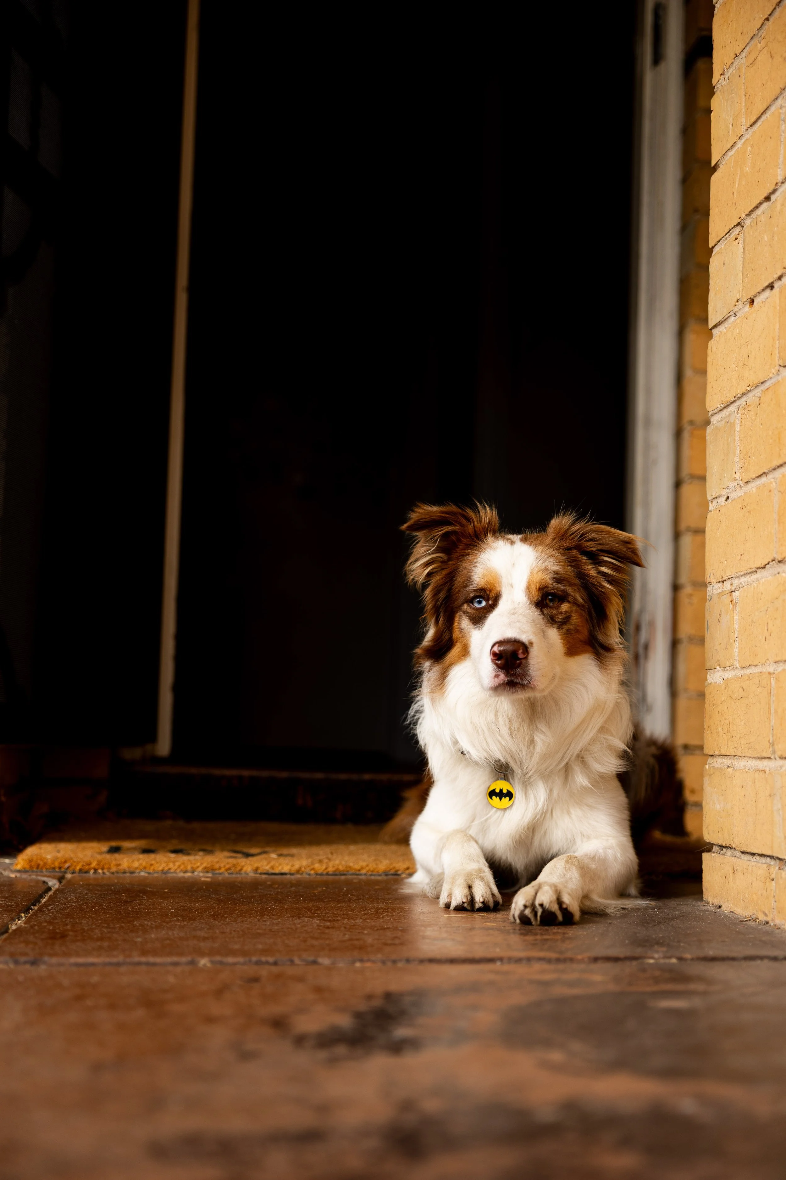 SHP Head of security