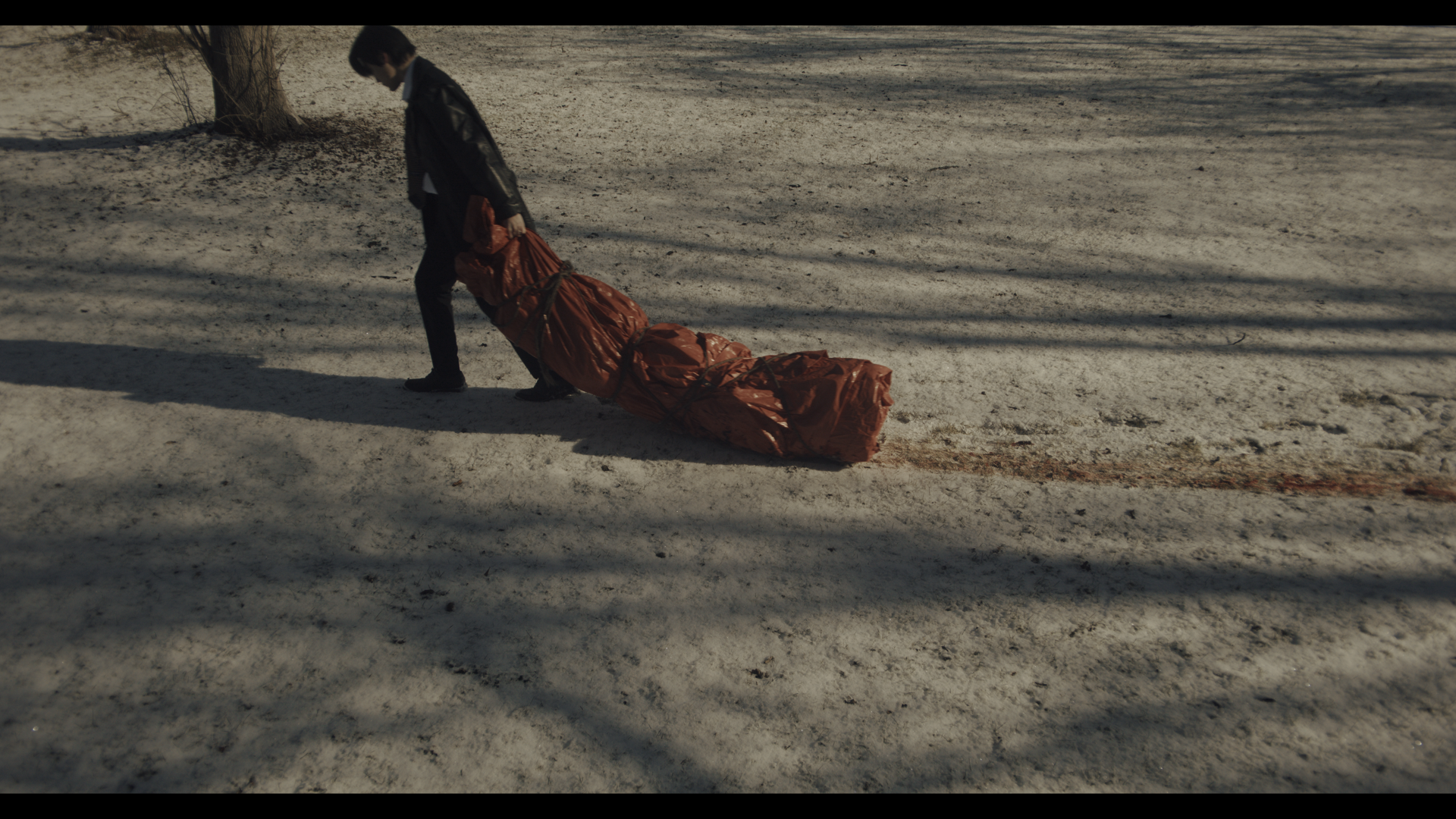 Still 2025-01-09 022803_1.24.1.PNG