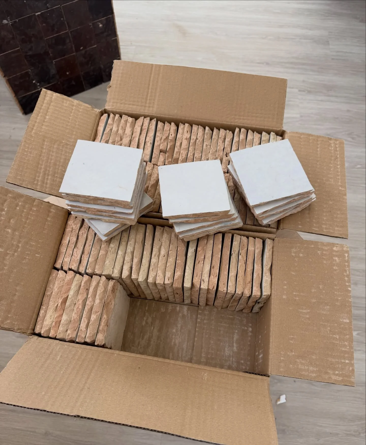 Moroccan Zellige in Lily 🤍