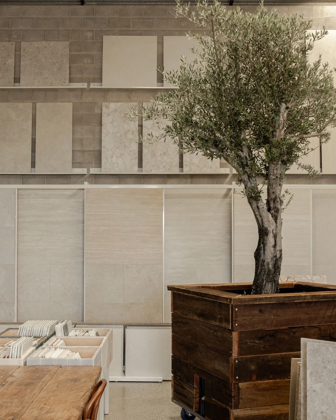 Meet our new feature piece 🫒

A 30-year-old olive tree housed in a custom timber-clad drum at the heart of our showroom. 

We love the way the colours and textures play against the tiles, bringing a sense of outdoor calm to our indoor sanctuary.