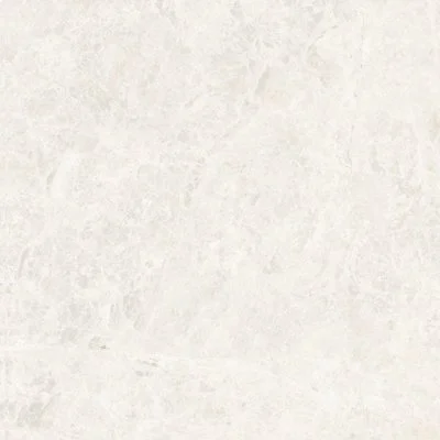 CT3A6716 HARLOW BONE MATT 600X600 (MATT/GRIP)