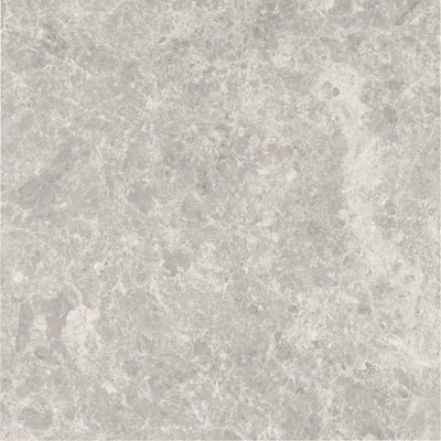 CT3A6726 HARLOW BIRCH GREY MATT 600X600 (MATT/GRIP)