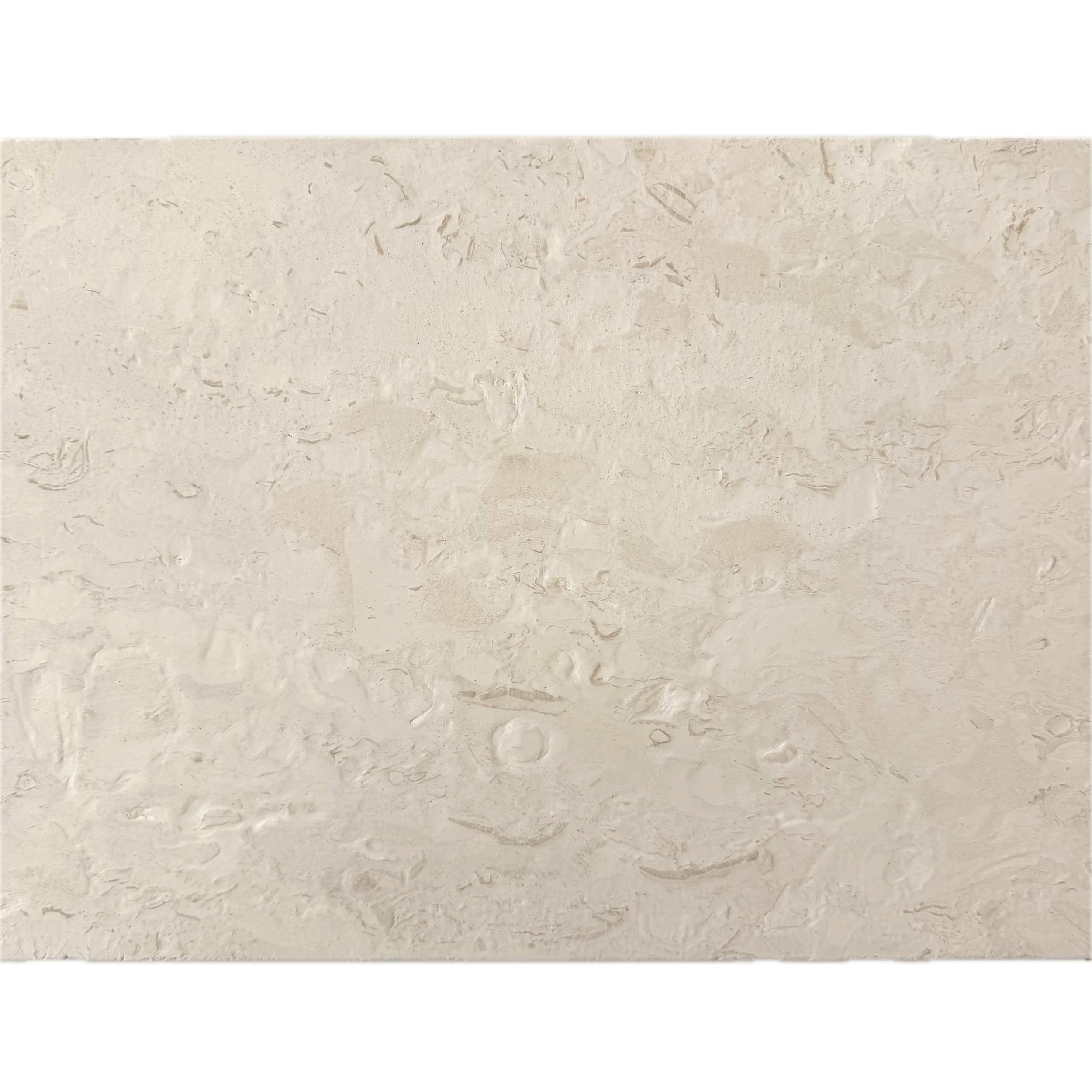 ST5S30364/BR/PAV FOSSIL LIMESTONE BRUSHED PAVER 610X406X30MM