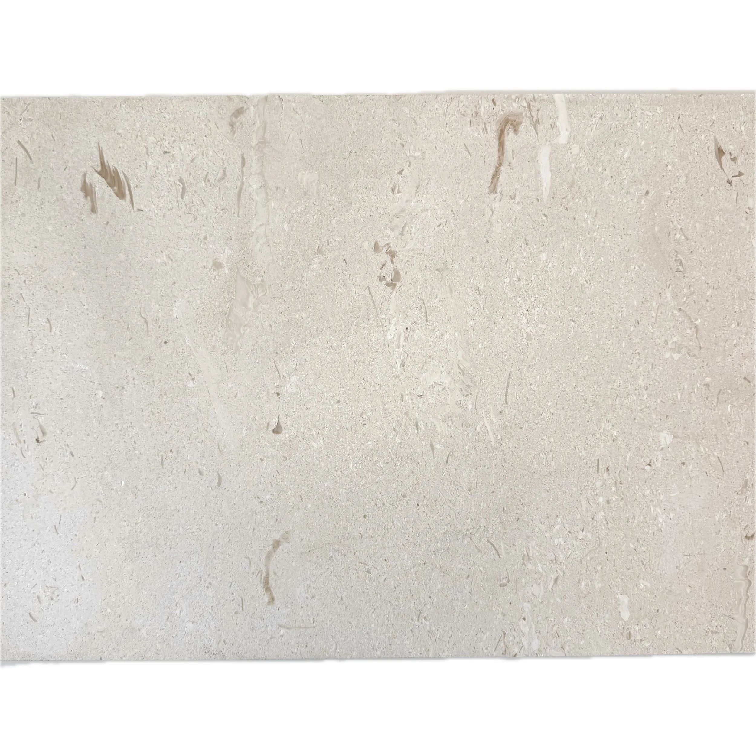 ST2EI21164/AW TURKISH FOSSIL LIMESTONE ACID WASHED 610X406X12MM