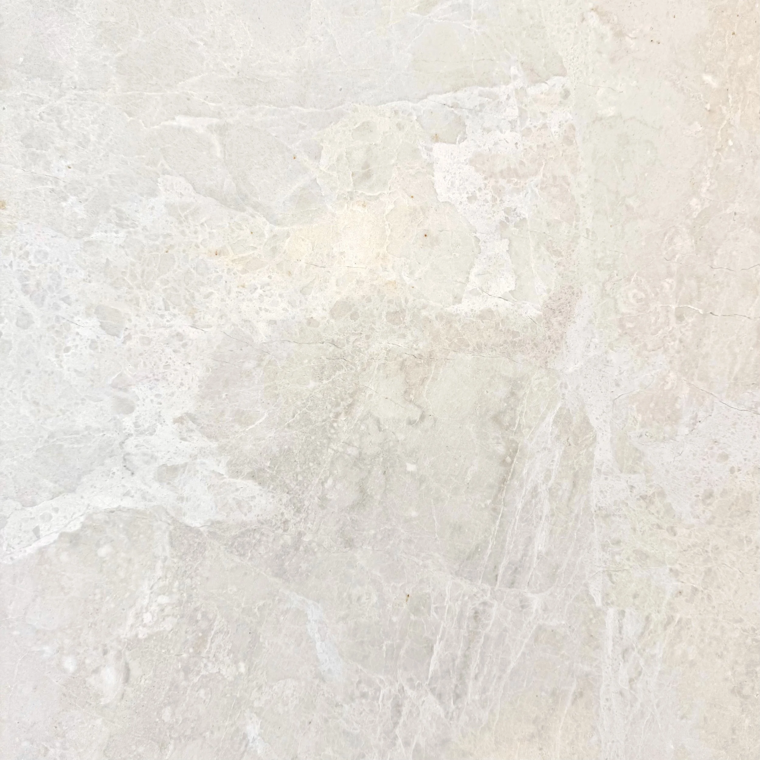 STSM1016H PREMIUM CANDIDO HONED MARBLE 610X610X12MM