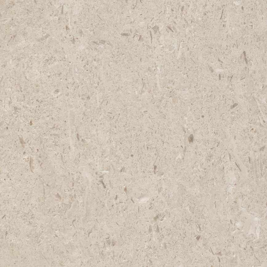 CT4U8616 MYRA LIMESTONE ALMOND (MATT)