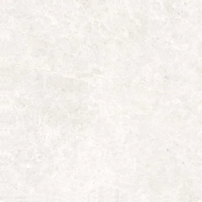 CT3A6706 HARLOW ICE MATT 600X600 (MATT/GRIP)