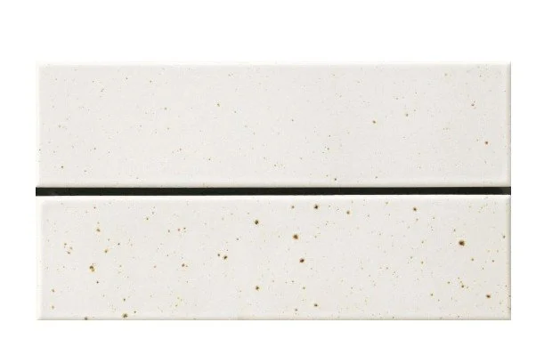 CT1N61062/M FRECKLE WHITE MATT 60X227X10