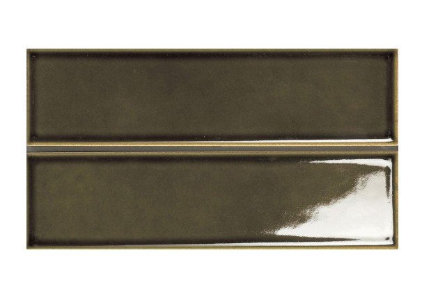 CT1N61662 OLIVE GLOSS 60X227X10