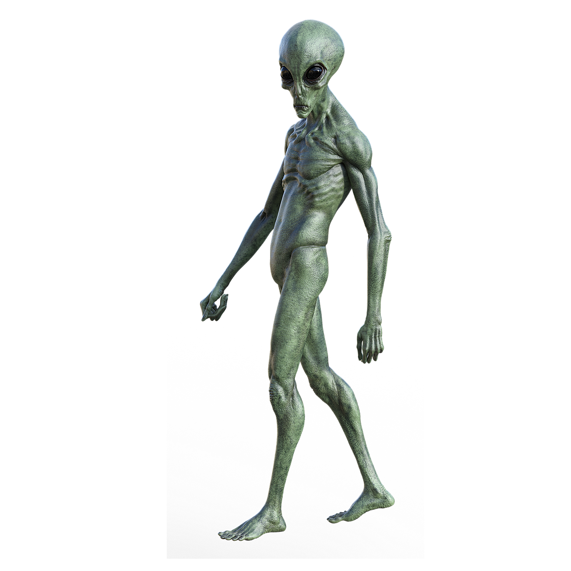 Alan, the Analytics Alien, is posing for the camera.