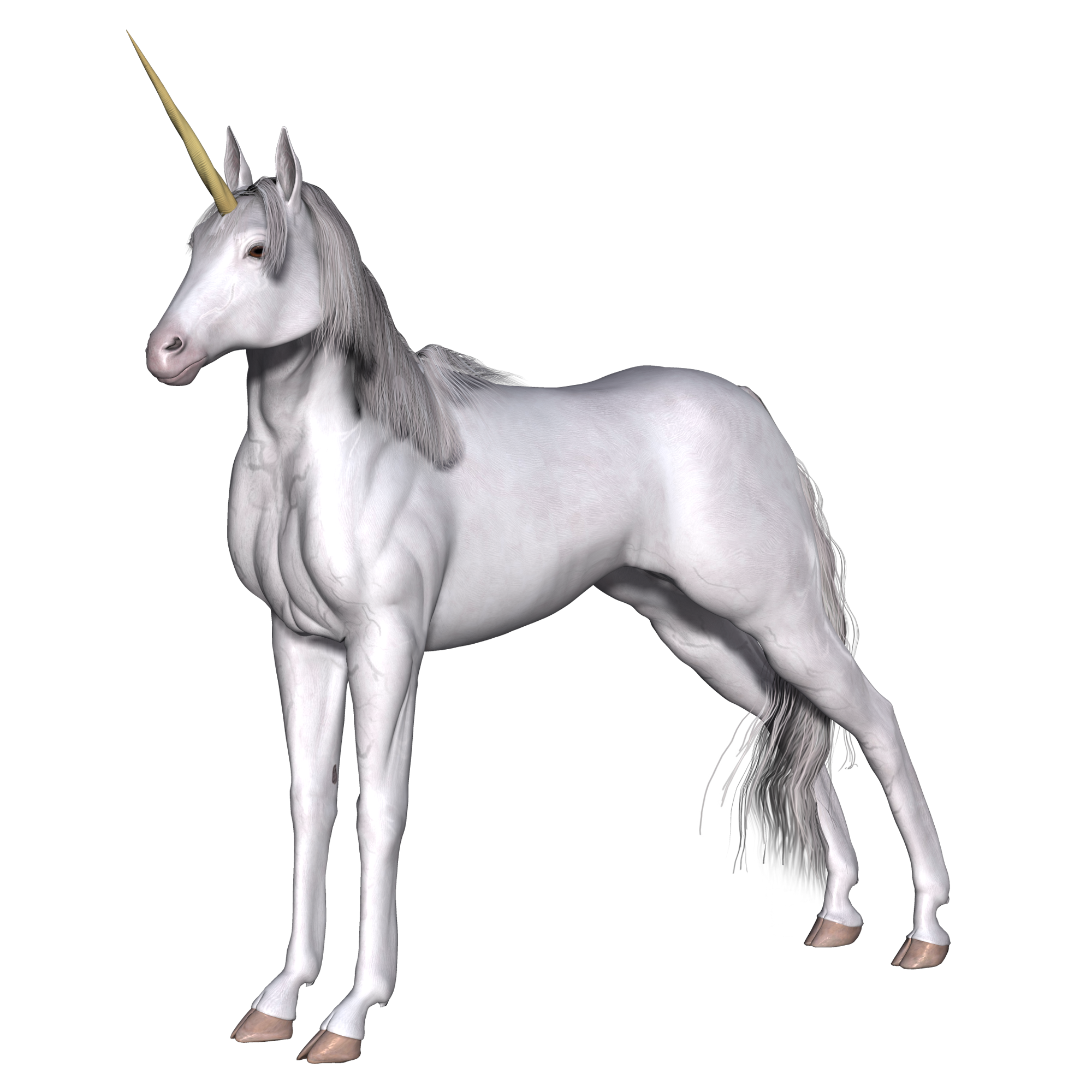 Eunice, the Union Rep. Unicorn poses for the camera.