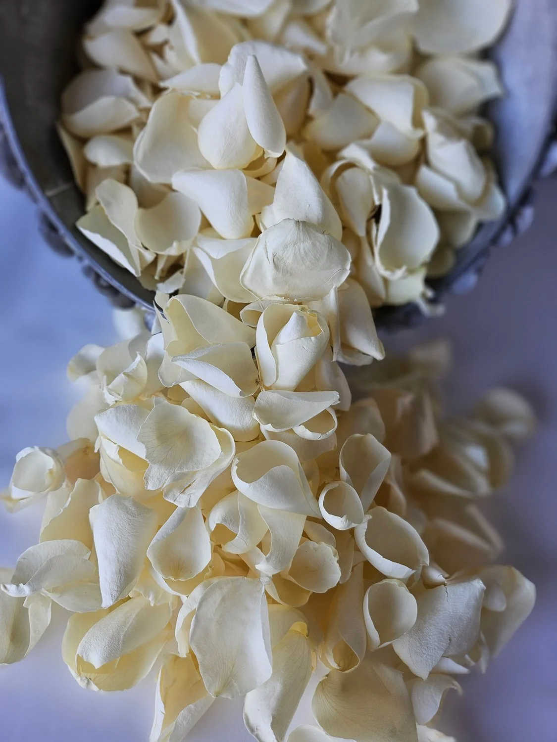           Who Will Buy My Pretty Rose Petals